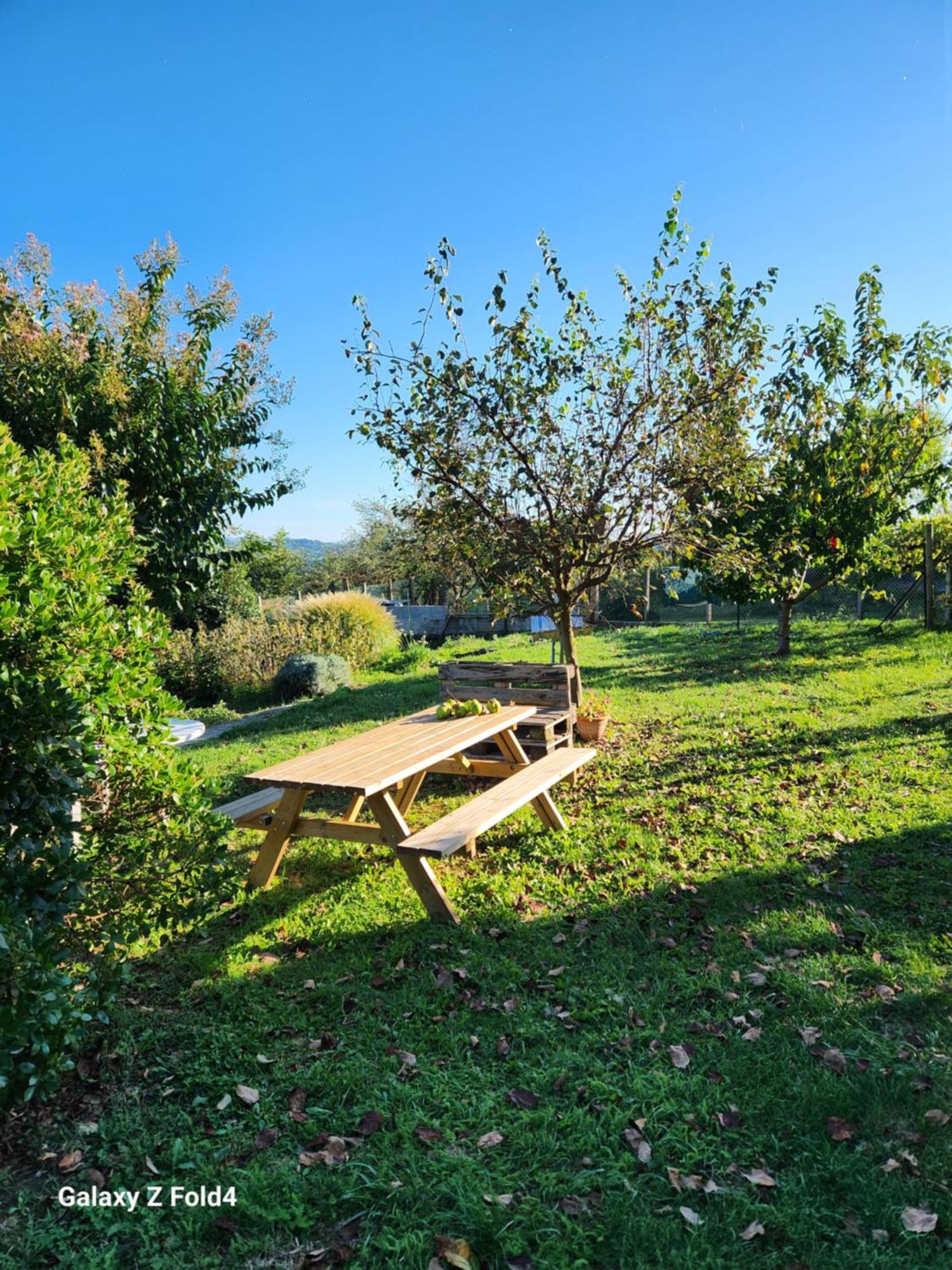 Apartment Figuets 3 *
